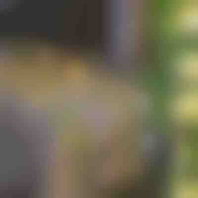 Solarna bajkovita svjetla s umjetnim lišćem bršljana (5 m) | LEAFGLO