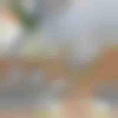 Višenamjenski rezač povrća | SLICEIEST (4 oštrice BESPLATNO)