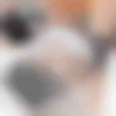 Češalj za samonjegu mačaka (2kom) | PURRCORNER