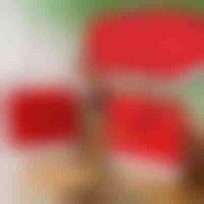 Božićne navlake za blagovaonske stolice (4 kom) | SANTASEAT