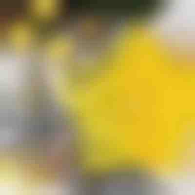 Rezači za kekse u obliku zvijezde (6 kom) | STARCUTS