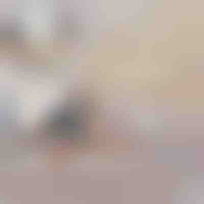 Kauč na napuhavanje | SOFLINKA