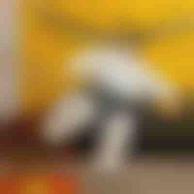 Sumo kostim na napuhavanje | SUMOCOS