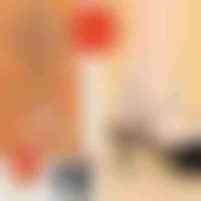 Elegantni trakovi za visoke pete (4 Kosi) | LUXSTRAP