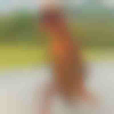 Kostim dinosaura na napuhavanje | TREXCOS