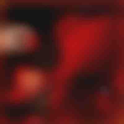 Dar koji govori ljubav | LOVEBEAR