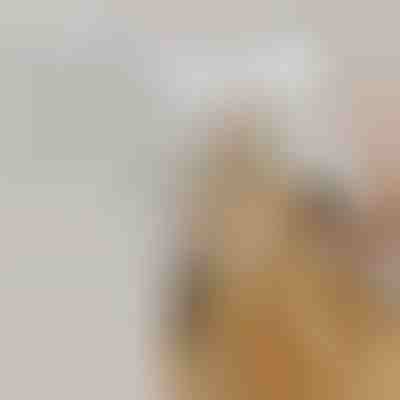 Punjiva četka na paru za linjanje kućnih ljubimaca | GROOMSY