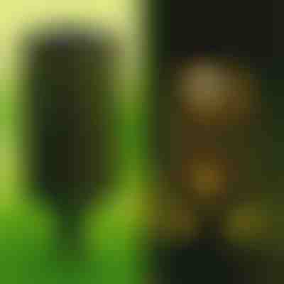 Solarna svjetiljka (2 kom.) | GARDENIAS