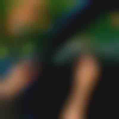 Brtva za vrata automobila (5 m) | EVOSEAL