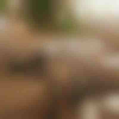 Magnetski samoljepljivi organizator kabela (12 komada) | CABLIP