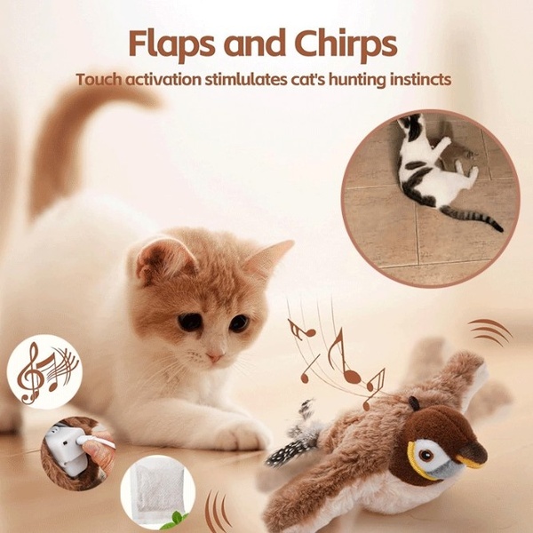 CHIRRCAT-3831127628906-EN-5__221225